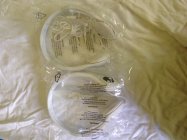 663258.jpeg 663258.jpeg