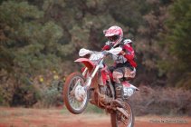 664191.jpeg 664191.jpeg