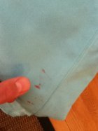 665485.jpeg 665485.jpeg