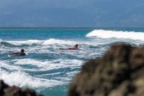 668374.jpeg 668374.jpeg