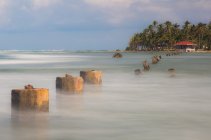 668383.jpeg 668383.jpeg