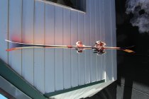 669161.jpeg 669161.jpeg