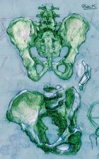 669467.jpeg 669467.jpeg