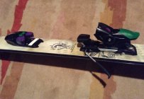 672189.jpeg 672189.jpeg