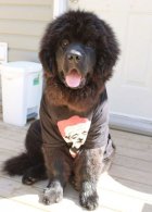 673609.jpeg 673609.jpeg