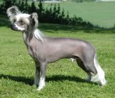 673625.jpeg 673625.jpeg