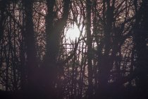 681148.jpeg 681148.jpeg