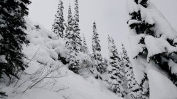 Confessions of a Ski Bum: Part 3