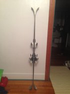 685293.jpeg 685293.jpeg