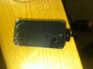 689113.jpeg 689113.jpeg