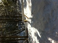 693081.jpeg 693081.jpeg