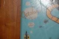 694064.jpeg 694064.jpeg