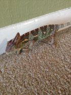 696793.jpeg 696793.jpeg