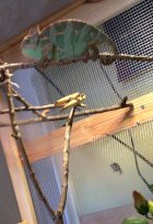 696794.jpeg 696794.jpeg