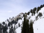 HIGH BOY PARTY 4/18/10 