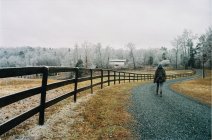 702380.jpeg 702380.jpeg