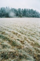 702381.jpeg 702381.jpeg