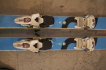 707480.jpeg 707480.jpeg