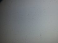 709621.jpeg 709621.jpeg