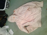 712195.jpeg 712195.jpeg