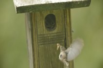 720910.jpeg 720910.jpeg