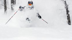 Ask Me Anything w/Sage Cattabriga-Alosa