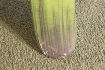 722872.jpeg 722872.jpeg