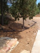 725421.jpeg 725421.jpeg