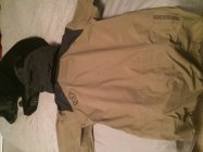 726302.jpeg 726302.jpeg