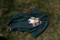 726864.jpeg 726864.jpeg