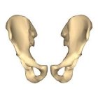 728957.jpeg 728957.jpeg