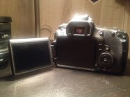 729257.jpeg 729257.jpeg