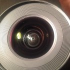 729261.jpeg 729261.jpeg