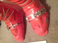 729617.jpeg 729617.jpeg