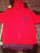 730310.jpeg 730310.jpeg