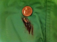 732631.jpeg 732631.jpeg