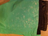 732633.jpeg 732633.jpeg