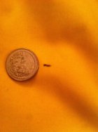 732637.jpeg 732637.jpeg