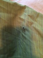 733526.jpeg 733526.jpeg