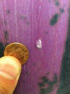 735897.jpeg 735897.jpeg