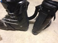 737816.jpeg 737816.jpeg