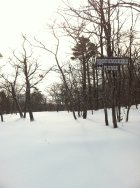 743870.jpeg 743870.jpeg