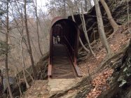 745389.jpeg 745389.jpeg