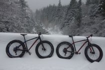 746655.jpeg 746655.jpeg