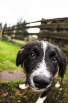 749846.jpeg 749846.jpeg