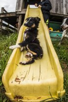 749848.jpeg 749848.jpeg