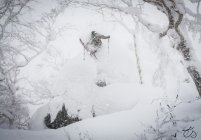 Everybody and Their Mom Was in Japan Last Month