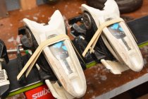 766238.jpeg 766238.jpeg