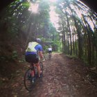 767311.jpeg 767311.jpeg