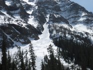 769840.jpeg 769840.jpeg